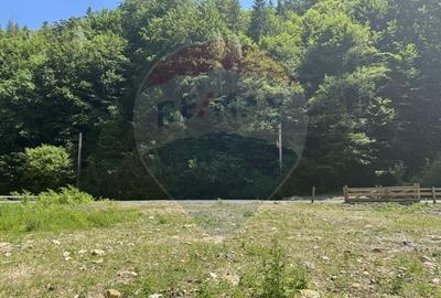 Teren intravilan 1500 mp Valea Ierii - 14