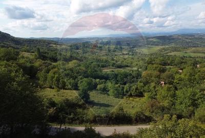 Teren intravilan de vanzare in Magureni - 4