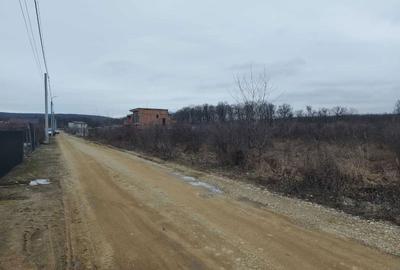 Spațiu comercial, în Smeura - 6