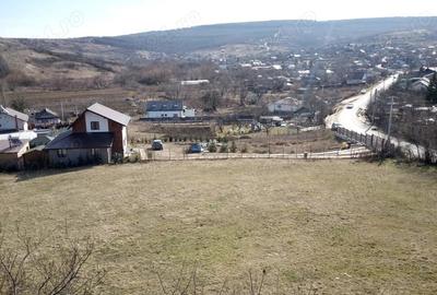Teren de 1385 mp, în Goruni - 3