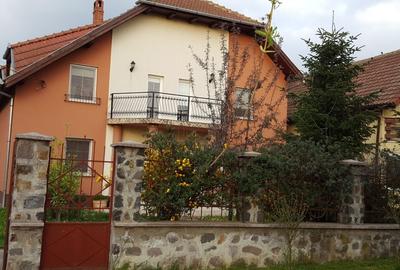 Sanandrei central casa vila 2-3 familii 280 mp-600 mp teren - 10