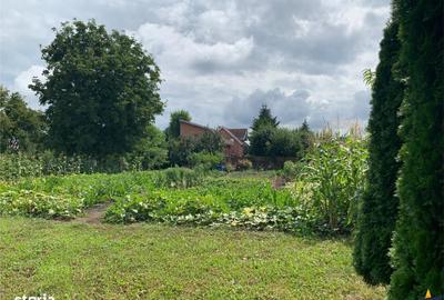 Spațiu comercial, în Sântana de Mureș - 9