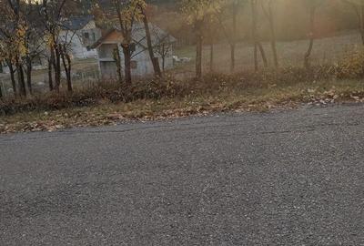 Spațiu comercial, în Hârsa - 3