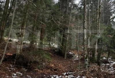 Teren de 4000 mp, în Calea Moroieni - 11