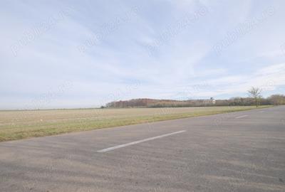 Teren de 270000 mp, în Gherghița - 3