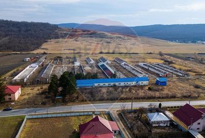 Spațiu industrial, de 800 mp, în Traian - 4