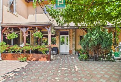 Pensiune la Orțișoara - 48