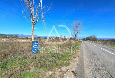 Teren în Narciselor - 5