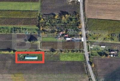 Teren de 1500 mp, în Lucian Blaga