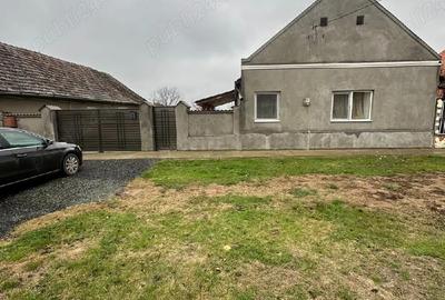 Casă cu 2 camere în Satchinez - 3