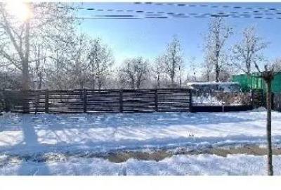 Cota de 61/128- Casa si teren Comuna Gradistea, Sat Rasa, Judetul Calarasi - 3