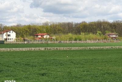 Spațiu comercial, în Balotești - 8