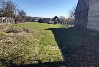 Arini jud. Brasov - 1