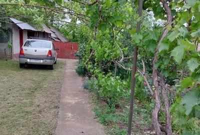 Casă cu 4 camere în Smârdan - 4