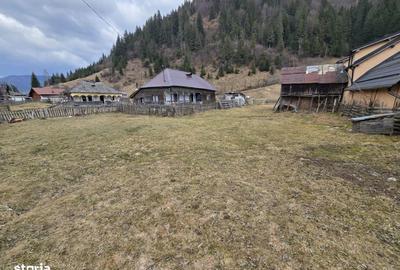 Casă cu 2 camere cu Teren 2723 Mp în Rucăr - 1