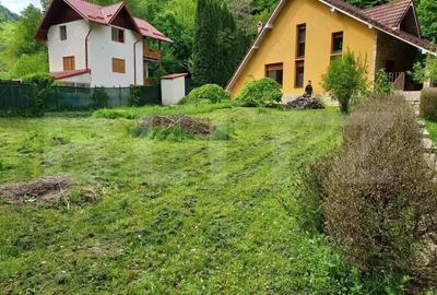 Casa de Vacan?a pe Valea Ighielului 3 camere, 2500 mp curte - 20