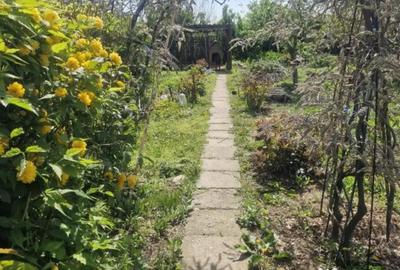 Casă cu 3 camere cu Teren 890 Mp în Merei - 14