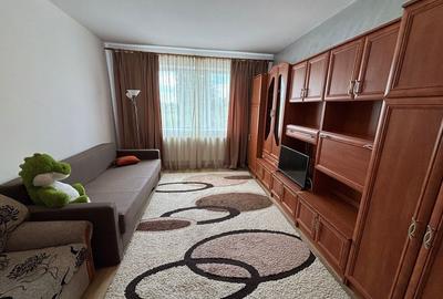 Garsonieră semidecomandată în Viile Satu Mare - 4