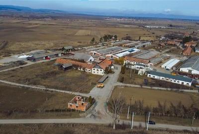 FILM! Complex agrozootehnic cu traditie, echipat,pretios potential multiplu, Bra - 43