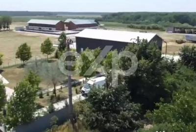 Teren în Crânguri - 7