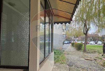 Spa?iu comercial zona pietii - 2