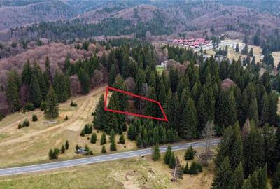 Teren cu potential:1.000 mp,proiect turistic rezidential,Poi - 10