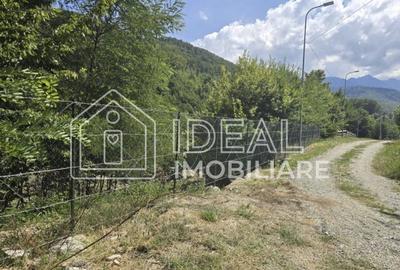 Teren agricol extravilan de 2300 mp, în Cârțișoara - 5