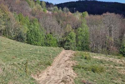 Teren de 30209 mp, în Groșuri - 3