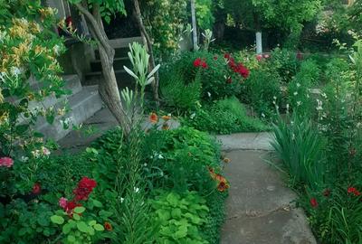 Vind casa in sat URLE?TI com CORNI jude?ul Gala?i Vind casa in sat URLE?TI com CORNI jude?ul Gala?i - 2