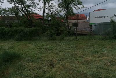 Casă cu 2 camere în Aleșd - 4