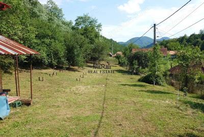 Cabana, anexe si 2000 mp teren intravilan in Taratel, Brad - 17