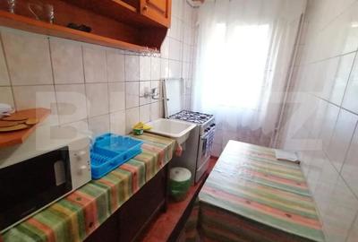 Apartament cu 2 camere semidecomandat, mobilat în Craiovița Nouă - 6