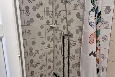Casa de inchiriat - 9