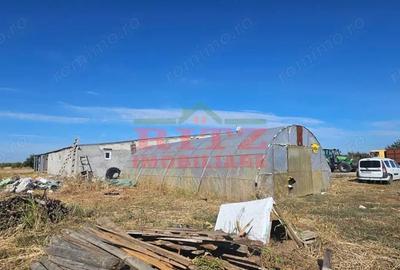 Teren de 56800 mp, în Fărcașele - 10