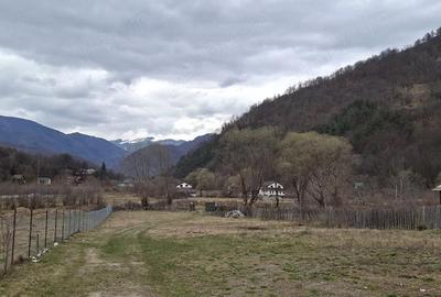 Teren de 1000 mp, în Malaia - 7