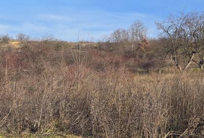 Spațiu comercial, în Rădăcinești - 1