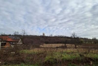 Teren Construcții intravilan de 2386 mp, în Dealuri Oradea - 2