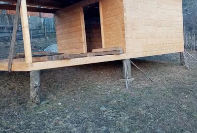 Casă cu Teren 30 Mp în Albac - 4