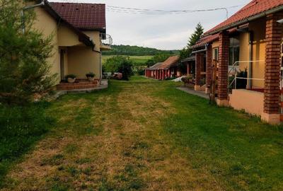 Casă cu 7 camere cu Teren 9800 Mp în Șintereag - 4