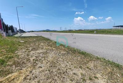 Teren intravila industrial, 5500 mp, Prejmer, Brasov - 4