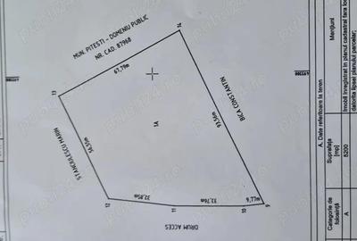 Vnd Teren Intravilan 5200 m pret 50 e Bradu strada cetului vizavi Pitesti Arges - 2