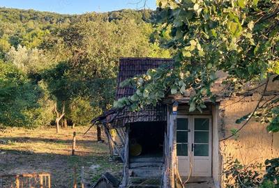 Casă cu 3 camere în Căpruța - 1