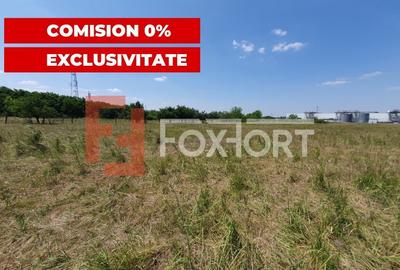 COMISION 0% Teren de vanzare intravilan de 5000 mp in Chisoda - 12