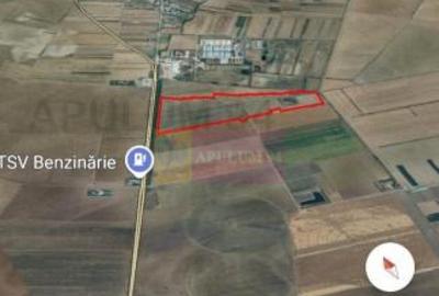 Teren 40ha Adunatii Copaceni | Industrial/ Logistic - 2