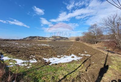 Teren Construcții intravilan de 15938 mp, în Nord-Vest - 2