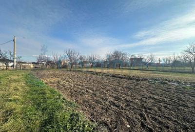 Teren Construcții de 500 mp, în Sânmartin - 2