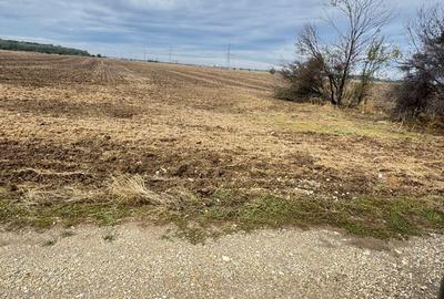 Teren intravilan de 400 mp, în Măgurele - 4