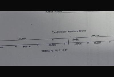 Teren Construcții extravilan de 4523 mp, în Cernele - 1