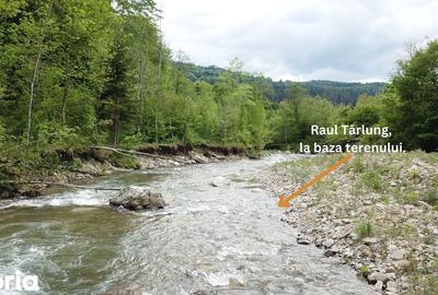 Teren de 4000 mp, în Babarunca - 4