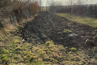 Teren Construcții intravilan de 5000 mp, în Sirețel - 9